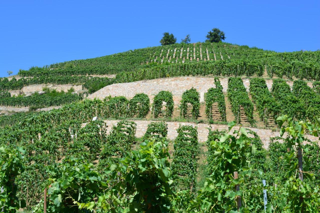 Lamaisondemamere Tournon-sur-Rhone Esterno foto