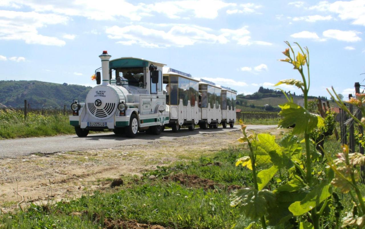 Lamaisondemamere Tournon-sur-Rhone Esterno foto